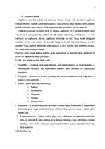 Prakses atskaite 'Prakses atskaite A/S "Liepājas Metalurgs"', 7.