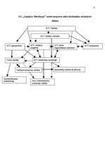 Prakses atskaite 'Prakses atskaite A/S "Liepājas Metalurgs"', 15.