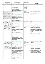 Konspekts 'Dzīvnieku audu veidi un funckijas', 4.