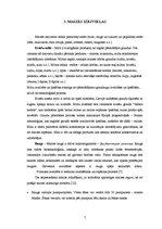 Referāts 'Kviešu maize ar kukurūzas putraimiem', 7.