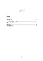 Referāts 'Kāda tiesas sprieduma analīze', 2.