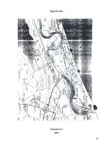 Referāts 'Baltijas jūras piesārņojums ar barības vielām un ar to saistītā zilaļģu attīstīb', 19.