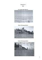 Referāts 'Baltijas jūras piesārņojums ar barības vielām un ar to saistītā zilaļģu attīstīb', 21.