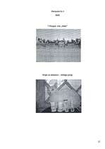 Referāts 'Baltijas jūras piesārņojums ar barības vielām un ar to saistītā zilaļģu attīstīb', 22.