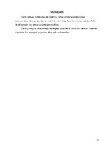 Referāts 'Datoranimācija', 12.