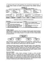 Konspekts 'Uzņēmējdarbības vadīšana, 13.daļa - organizēšana', 12.