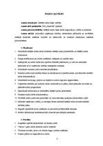 Referāts 'SIA "X" iekšējā audita lieta', 6.