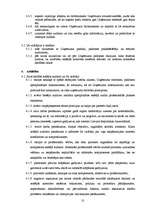 Referāts 'SIA "X" iekšējā audita lieta', 10.