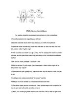 Referāts 'Priekšējās krusteniskās saites un meniska plīsuma ārstēšana', 4.