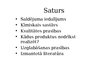 Prezentācija 'Saldējums', 2.