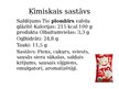 Prezentācija 'Saldējums', 11.