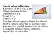 Prezentācija 'Saldējums', 13.