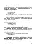Referāts 'Izmaksu klasifikācija un raksturojums', 11.