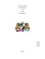 Paraugs 'Laboratorijas darbs būvķīmijā', 1.