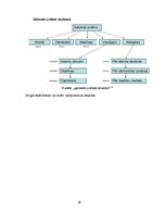 Referāts 'Datu bāze autosalonam', 26.