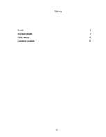 Referāts 'Hip-hops', 2.