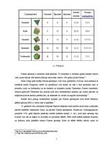 Referāts 'Platona ķermeņi', 4.