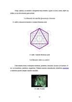 Referāts 'Platona ķermeņi', 17.