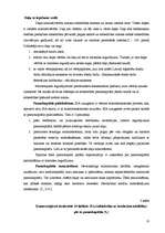 Referāts 'SIA kā viena no izplatītākajām komersantu formām Latvijā', 10.