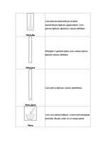 Referāts 'Darba drošības noteikumi ķīmijas stundās', 29.