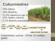 Prezentācija 'Cukura ražošana', 3.