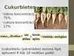 Prezentācija 'Cukura ražošana', 4.