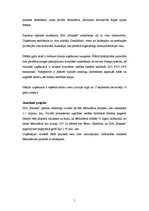 Referāts 'SIA "Manass" maksātspējas analīze un prognozēšana', 5.