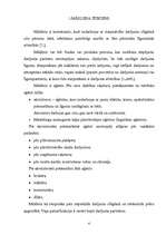 Referāts 'Māklera raksturojums', 4.