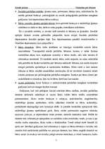 Referāts 'Vardarbība pret bērniem', 7.