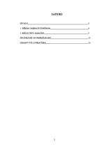 Referāts 'Bērna loma ģimenes mājturībā', 2.