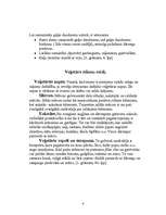 Referāts 'Veģetārs uzturs', 4.