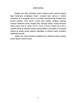 Referāts 'Sabiedrisko attiecību kampaņa jauniešu auditorijas piesaistei Rīgas Nacionālajam', 3.