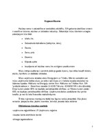 Biznesa plāns 'Atpūtas nams', 3.