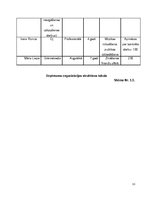 Biznesa plāns 'Atpūtas nams', 13.