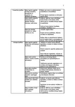 Paraugs 'Personāla vadīšana', 5.