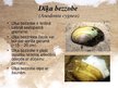 Prezentācija 'Latvijā sastopamie gliemji', 8.
