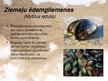 Prezentācija 'Latvijā sastopamie gliemji', 15.