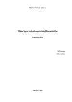 Referāts 'Mājas lapas ietekmē uzņēmējdarbības attīstību', 1.