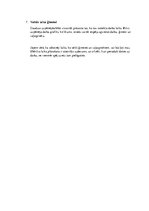 Referāts 'Mājas lapas ietekmē uzņēmējdarbības attīstību', 6.