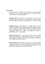 Referāts 'Mājas lapas ietekmē uzņēmējdarbības attīstību', 7.