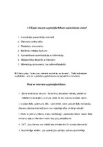 Referāts 'Mājas lapas ietekmē uzņēmējdarbības attīstību', 8.