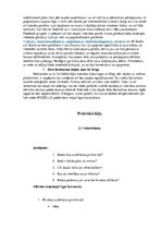 Referāts 'Mājas lapas ietekmē uzņēmējdarbības attīstību', 11.