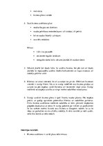 Referāts 'Mājas lapas ietekmē uzņēmējdarbības attīstību', 12.