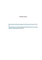 Referāts 'Mājas lapas ietekmē uzņēmējdarbības attīstību', 16.