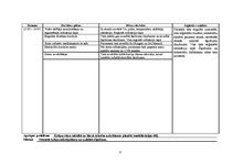 Prakses atskaite 'Aprūpes plāns IT/RAN pacientam ar aortokoronārās šuntēšanas operāciju un prezent', 19.