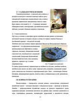 Referāts 'Физиотерапия', 21.