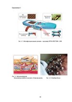 Referāts 'Физиотерапия', 46.