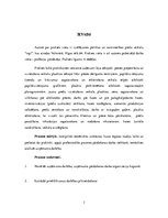 Prakses atskaite 'SIA "Firma Madara 89" veikals "top!"', 3.