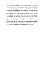 Prakses atskaite 'SIA "Firma Madara 89" veikals "top!"', 13.