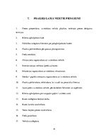 Prakses atskaite 'SIA "Firma Madara 89" veikals "top!"', 19.